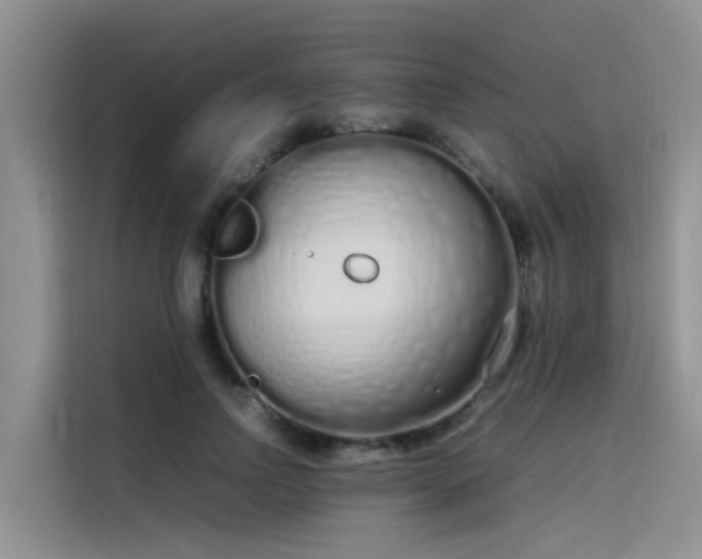 X0000115620742200911171315