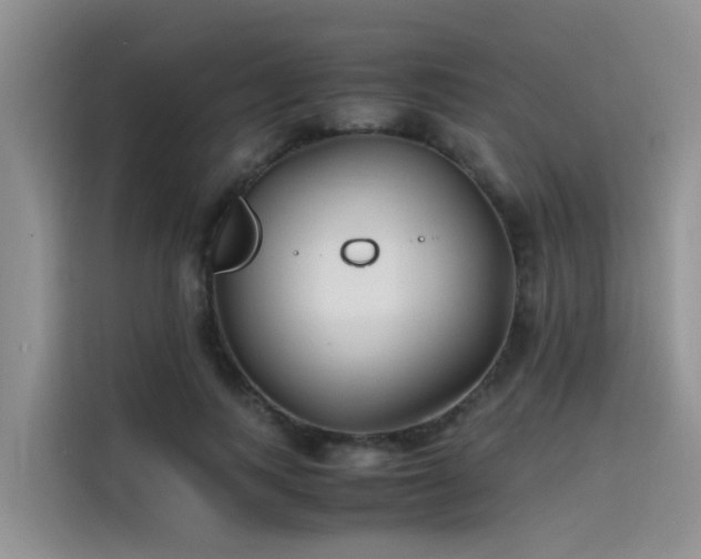 X0000115620743200911171315