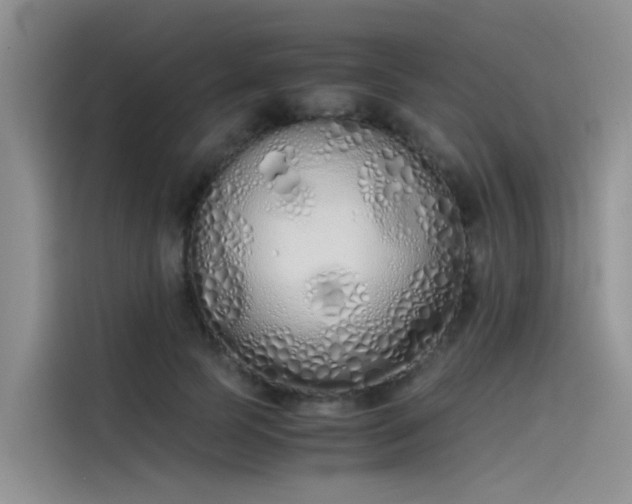 X0000115620745200911171315