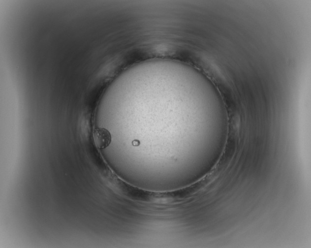 X0000115620746200911171315