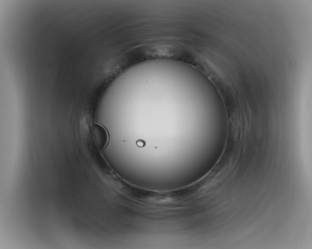 X0000115620747200911171315