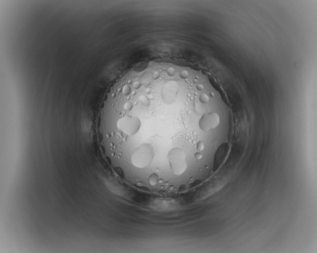 X0000115620749200911171315