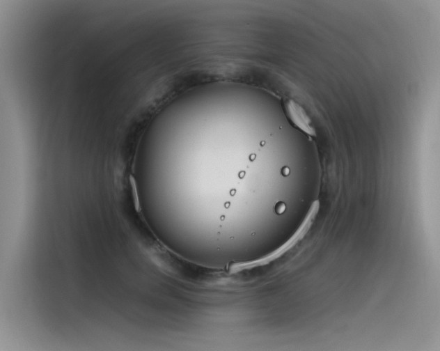 X0000115620750200911171315