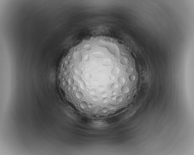 X0000115620753200911171315