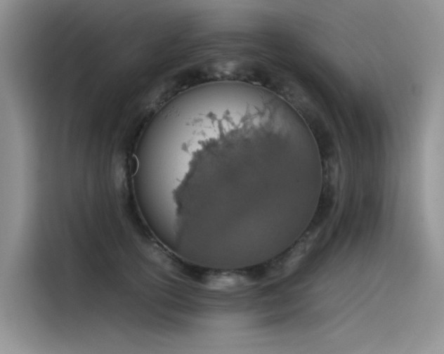 X0000115620754200911171315