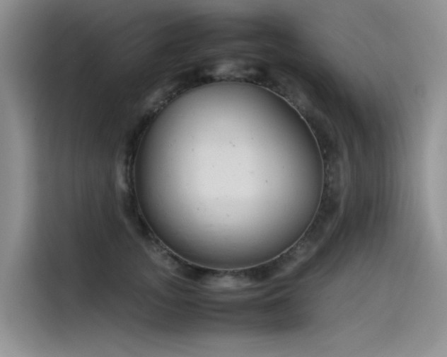 X0000115620755200911171315