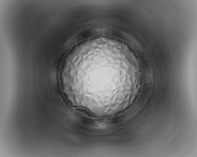 X0000115620757200911171315