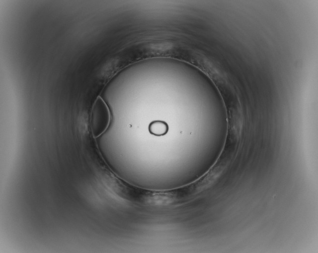 X0000115620758200911171315