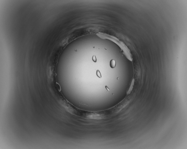 X0000115620759200911171316