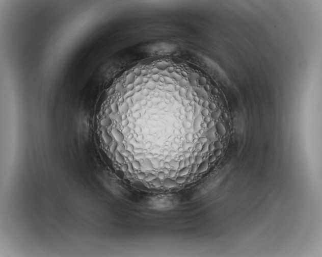 X0000115620761200911171316