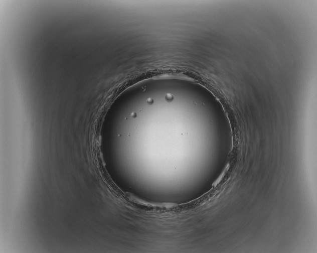 X0000115620769200911171315