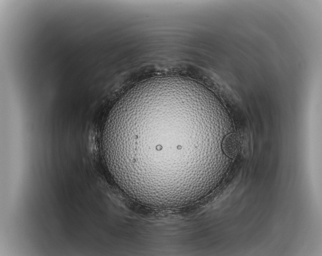 X0000115620770200911171315