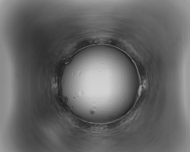 X0000115620771200911171315