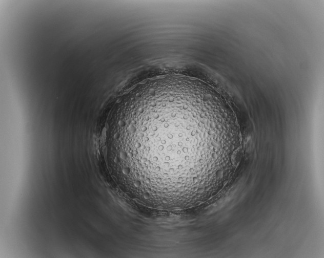 X0000115620772200911171315