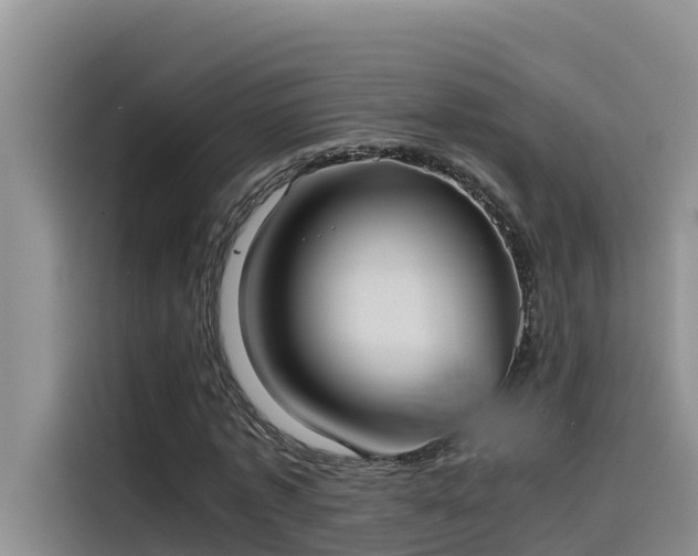 X0000115620773200911171315