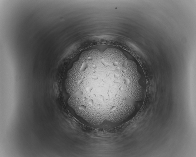 X0000115620774200911171315