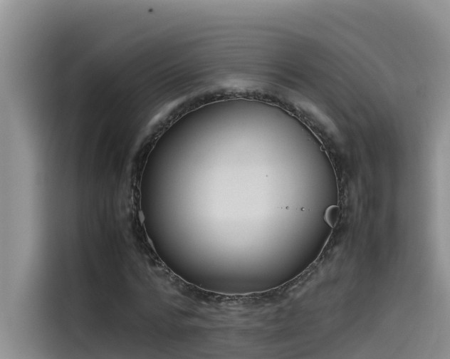 X0000115620776200911171315