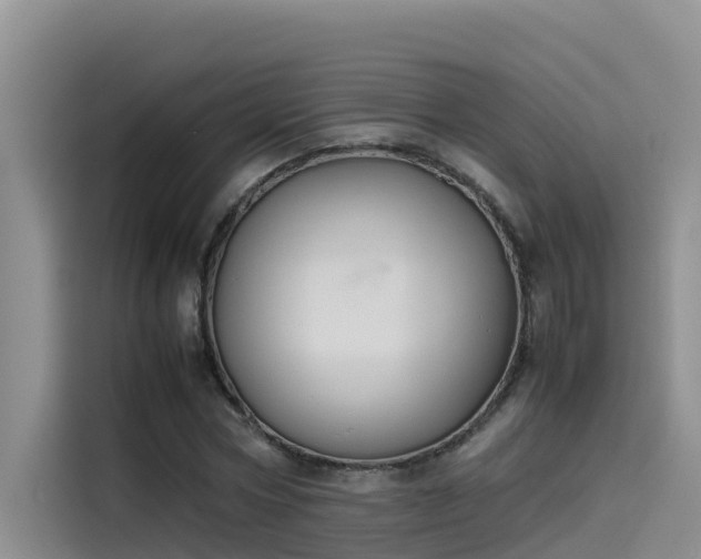 X0000115620778200911171315