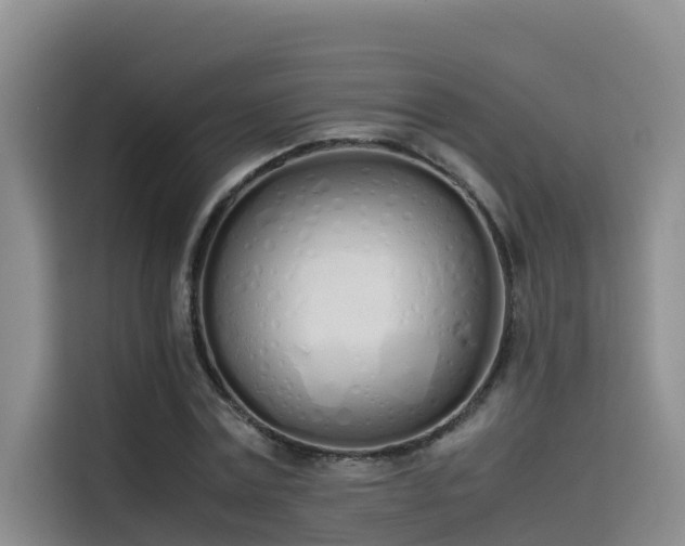 X0000115620779200911171315