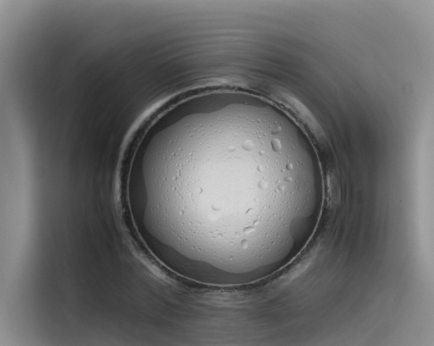 X0000115620780200911171315