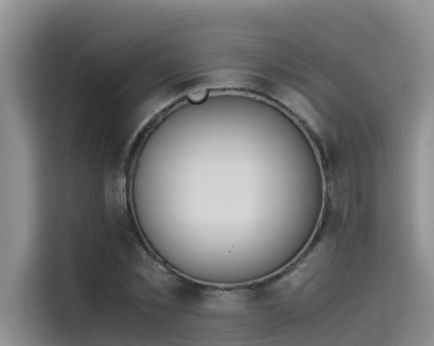 X0000115620781200911171315