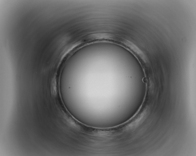 X0000115620782200911171315