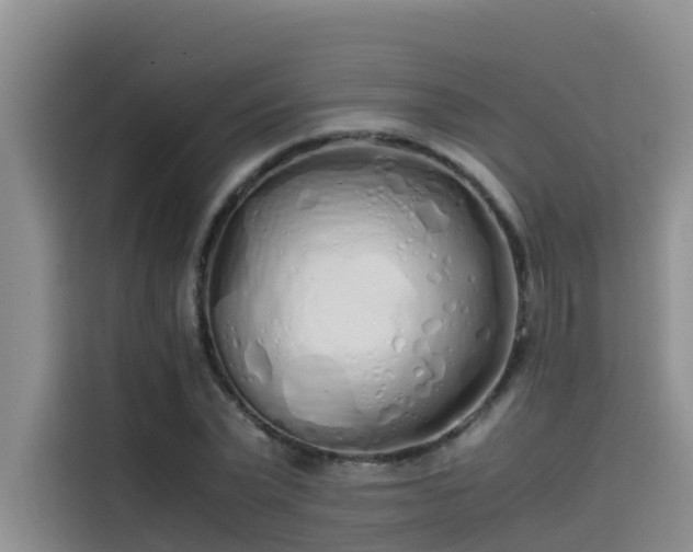 X0000115620783200911171315