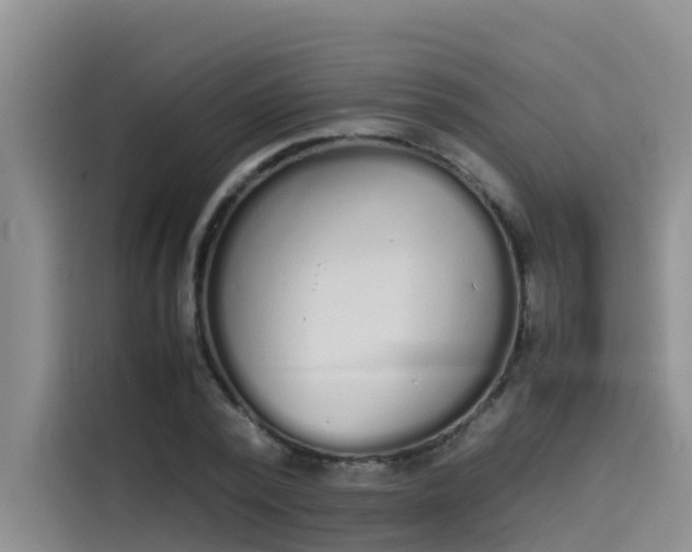 X0000115620784200911171315