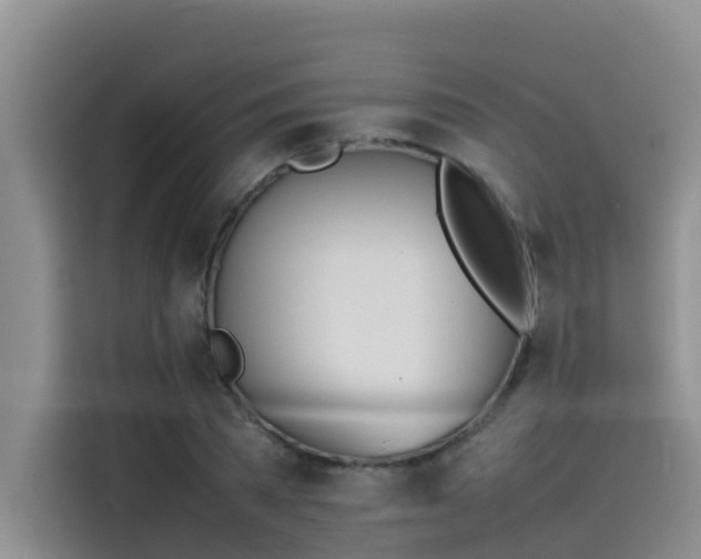 X0000115620785200911171315