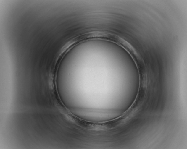 X0000115620786200911171315