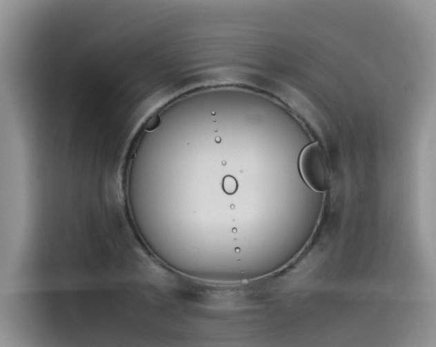 X0000115620789200911171315