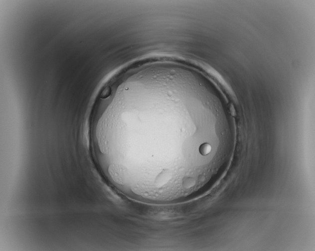 X0000115620791200911171315