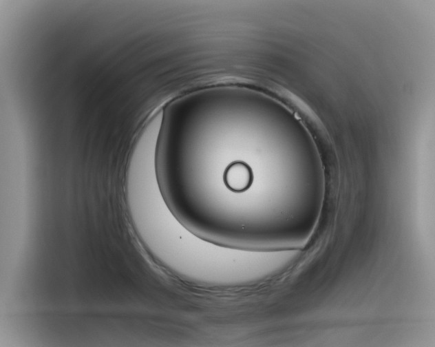 X0000115620793200911171315