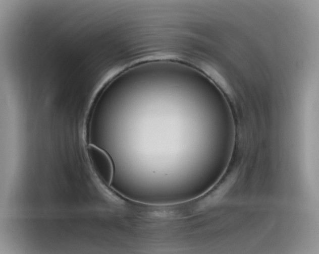 X0000115620797200911171315