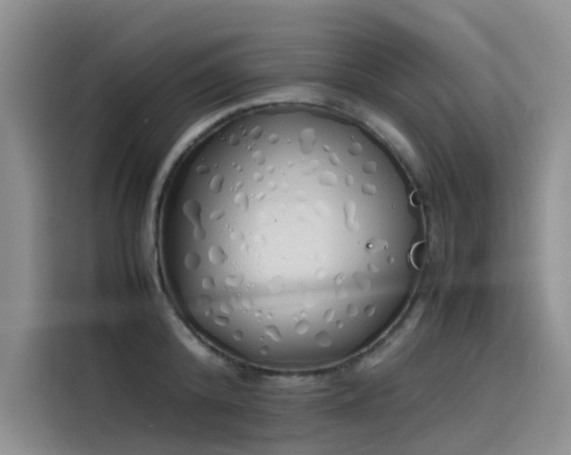 X0000115620800200911171315