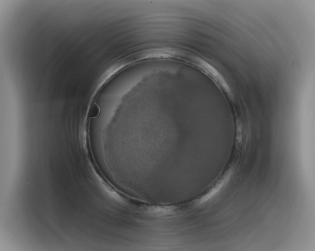 X0000115620802200911171315