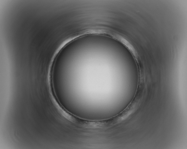 X0000115620803200911171315