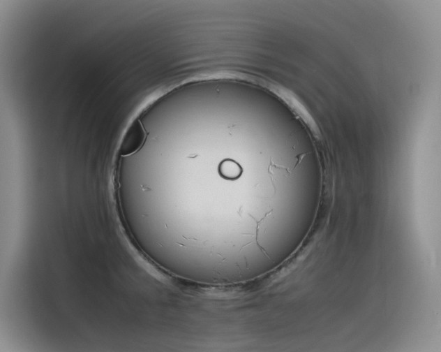 X0000115620805200911171315