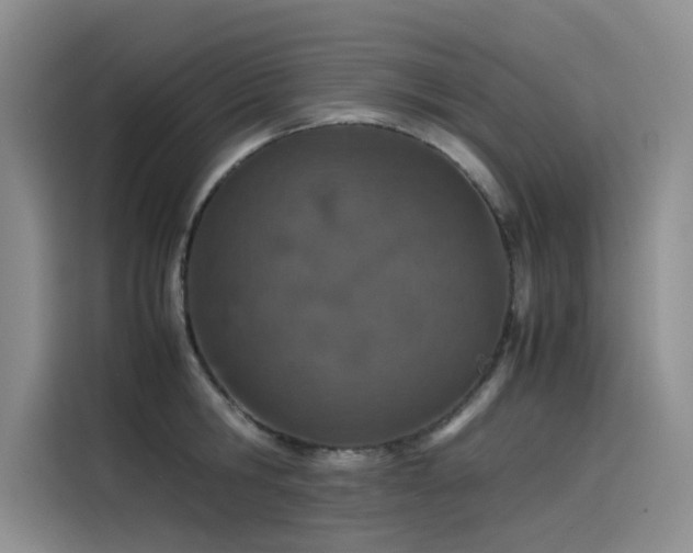 X0000115620806200911171315