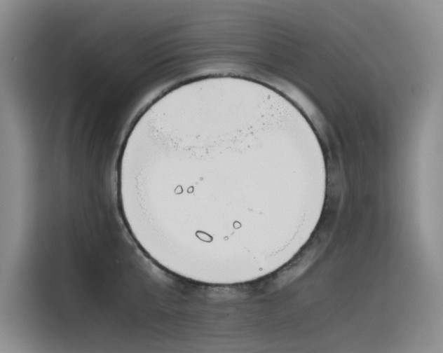 X0000115620807200911171315