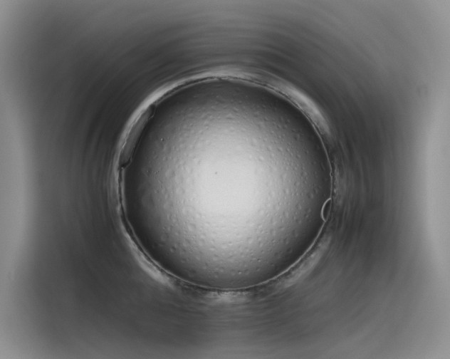 X0000115620808200911171314