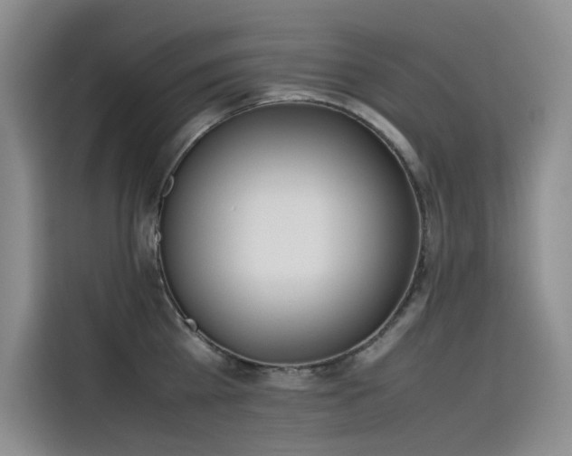 X0000115620809200911171314