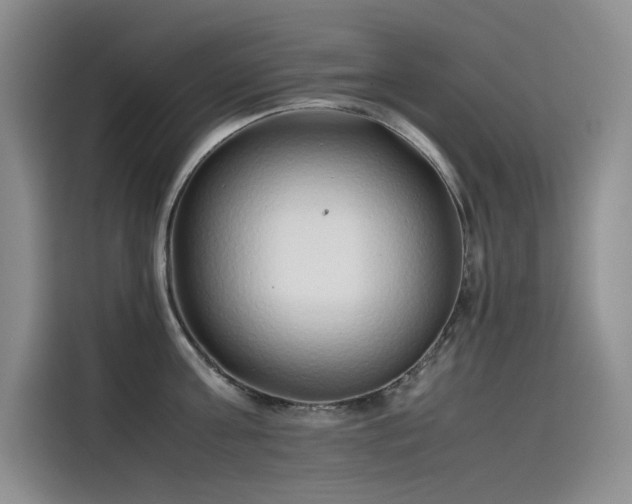 X0000115620811200911171314