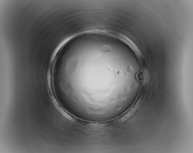 X0000115620812200911171314