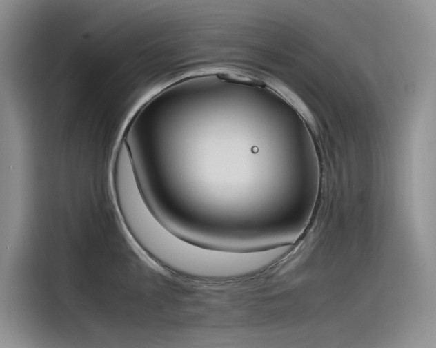 X0000115620813200911171314