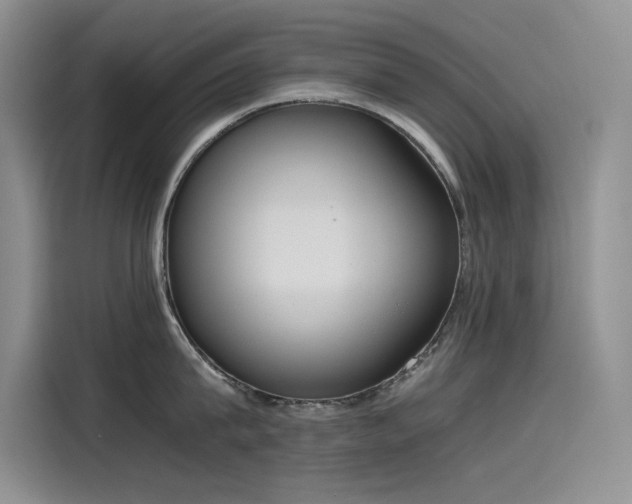 X0000115620815200911171314