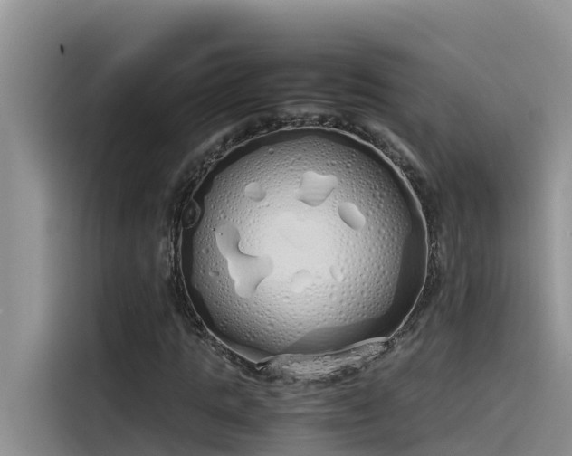 X0000115620821200911171314