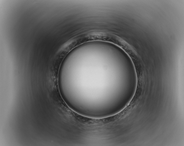 X0000115620822200911171314