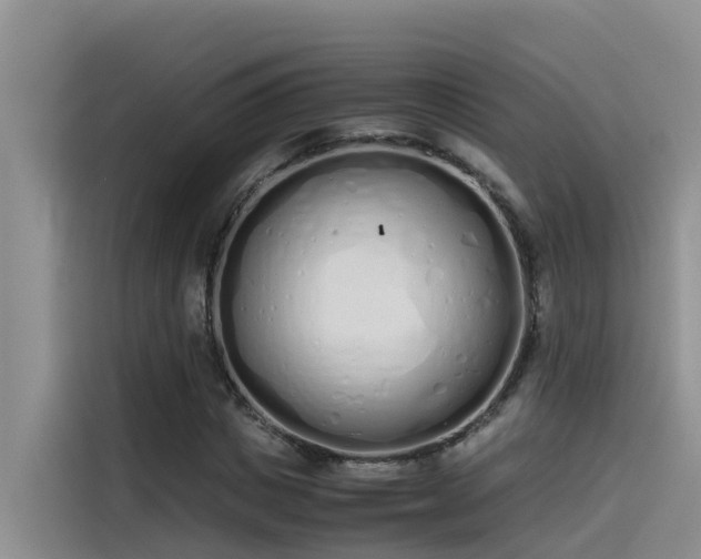 X0000115620825200911171314