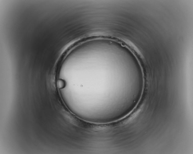 X0000115620830200911171314